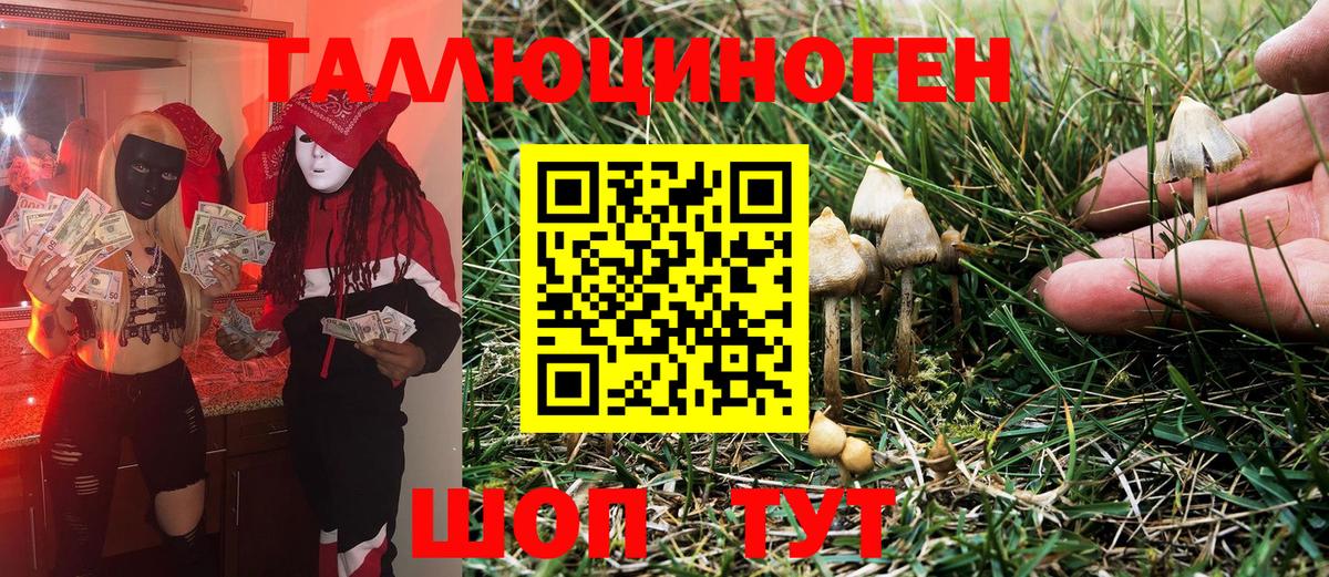 Назарово  Галлюциногенные грибы Magic Shrooms  купить наркотик  Вход с VPN 